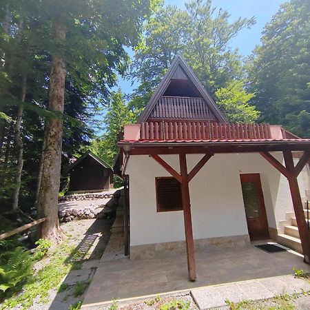 Villa Koca Planika, Sviscaki Ilirska Bistrica Exterior foto