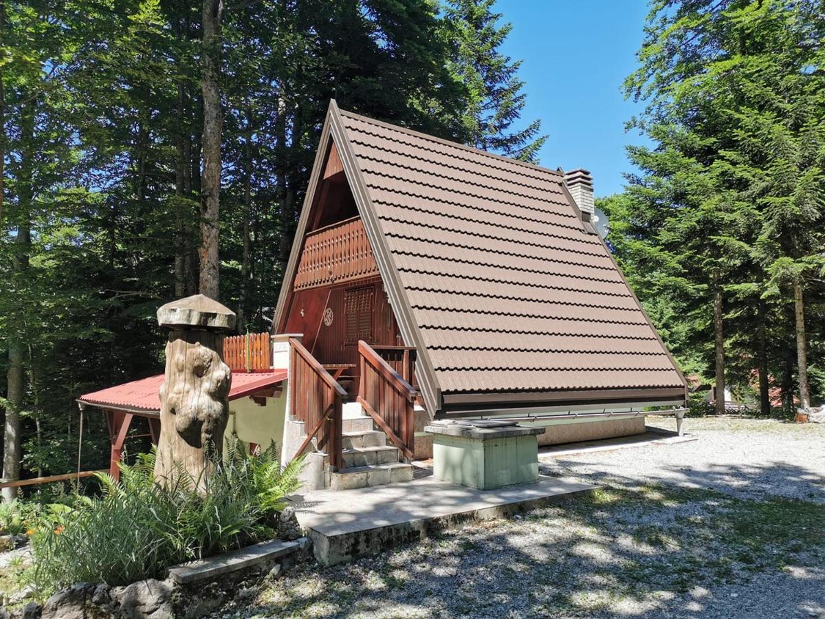 Villa Koca Planika, Sviscaki Ilirska Bistrica Exterior foto